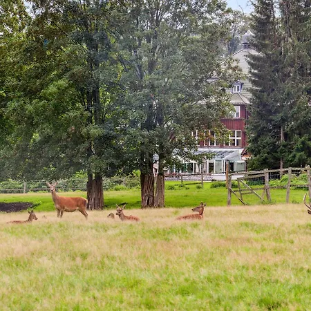 Cozy In Oberharz With Wifi
