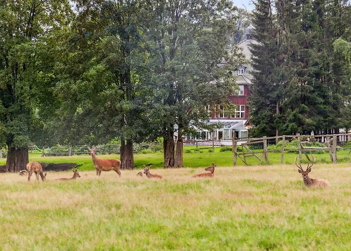 Cozy In Oberharz With Wifi